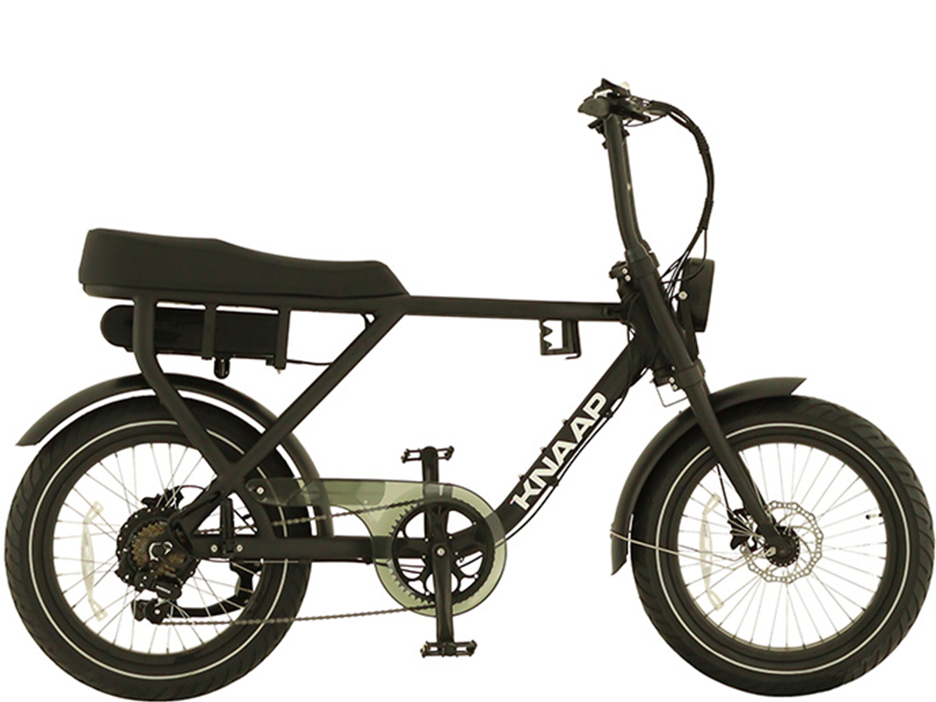Fatbikes