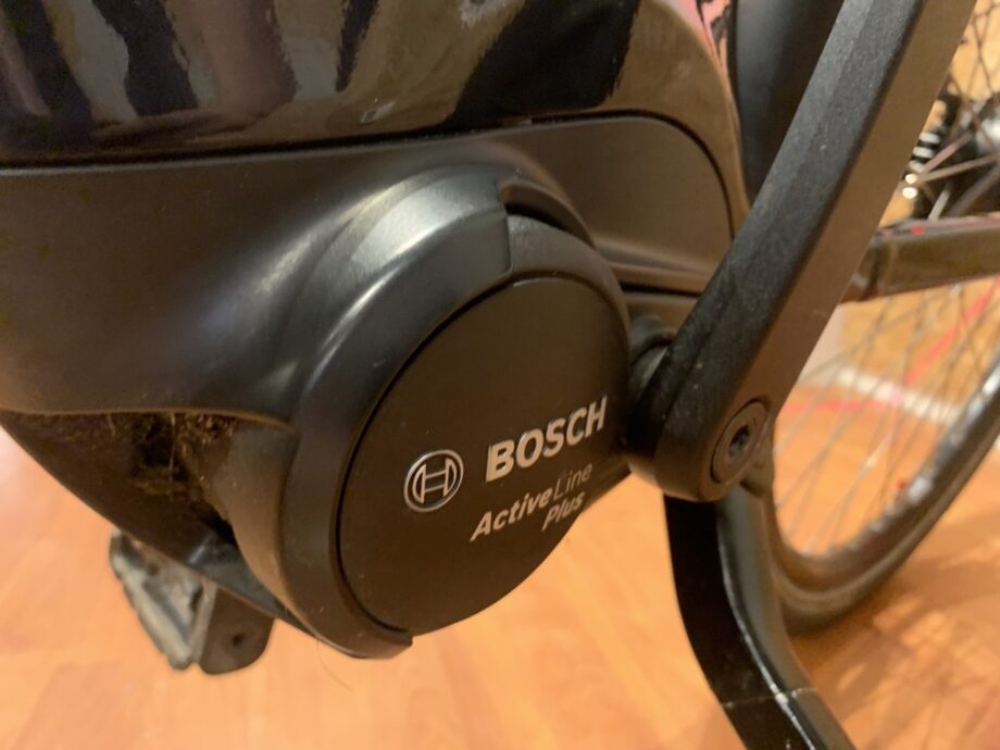 49: Batavus Finez E-Go